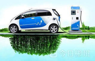 郴州正式啟用新能源汽車專用號(hào)牌，助推綠色出行新風(fēng)尚